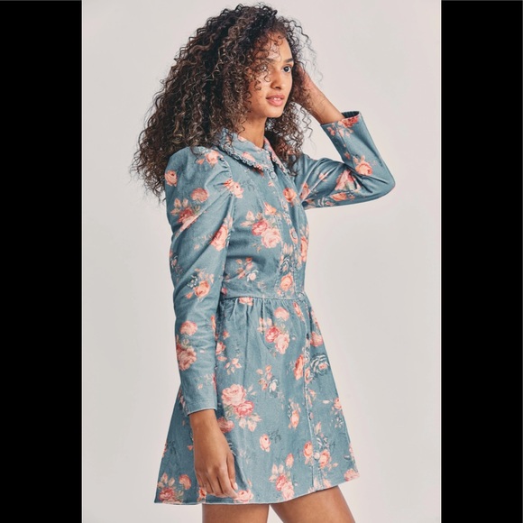 NWT Love Fancy Shack Breyers Dress US10